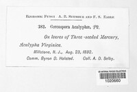 Image Associated With the Occurence
